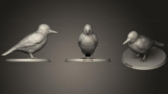 Animal figurines (Piciformes, STKJ_1270) 3D models for cnc